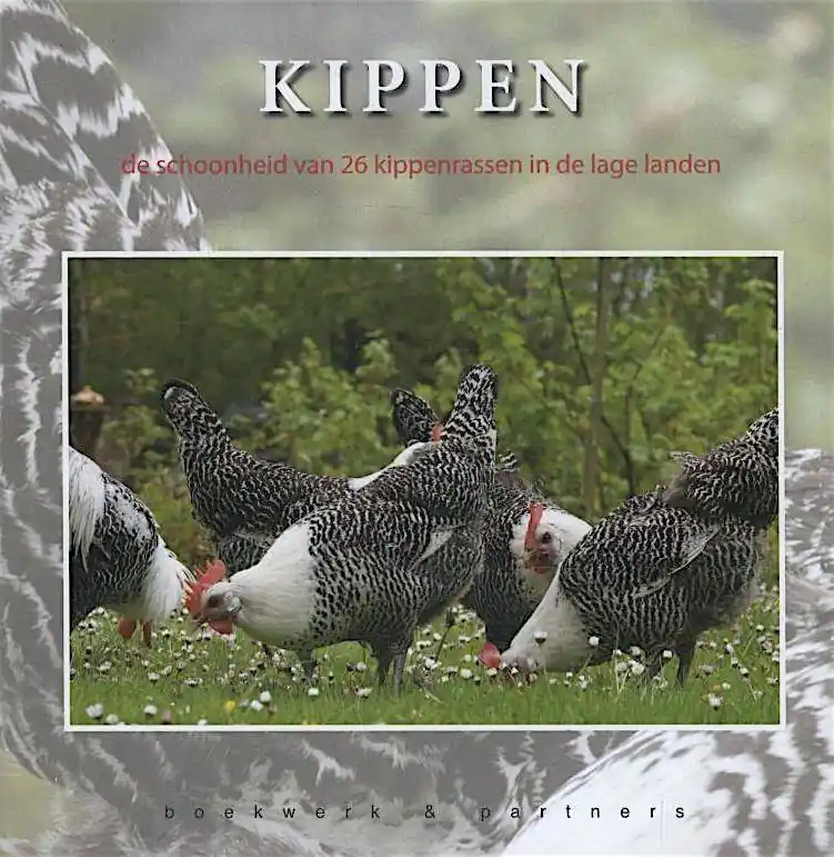 Kippen / Druk 1 Veilige Betaling