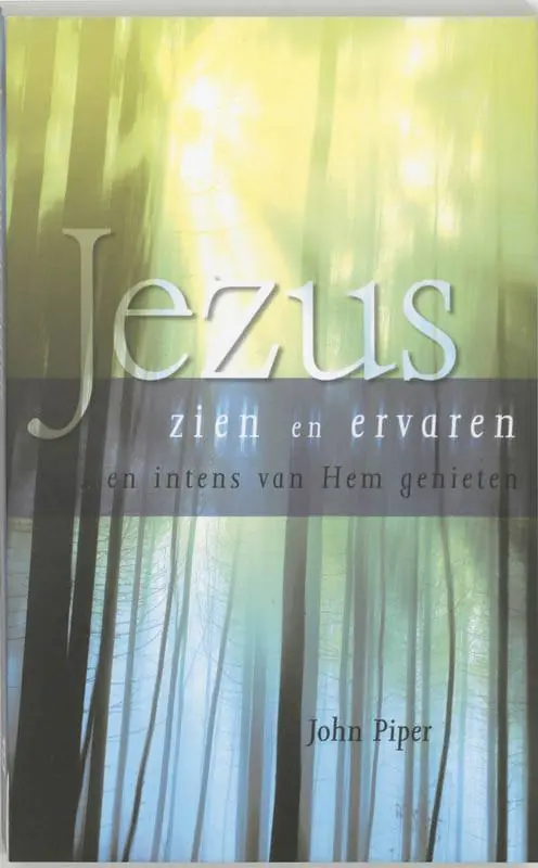 Jezus zien en ervaren / Druk 1 Lage Kosten