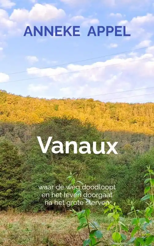 Vanaux / Druk 1 Lage Kosten