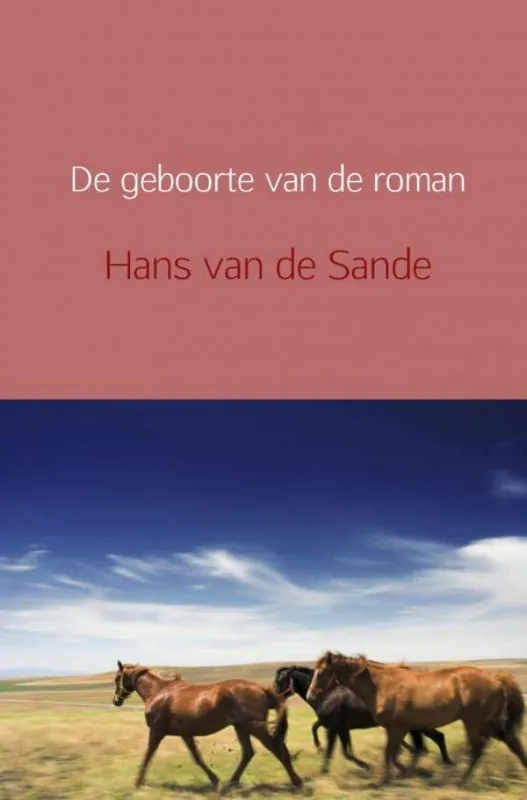 Bestel Nu De geboorte van de roman / Druk 1