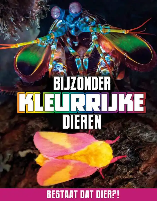 Bijzonder kleurrijke dieren / Druk 1 Aanbieding