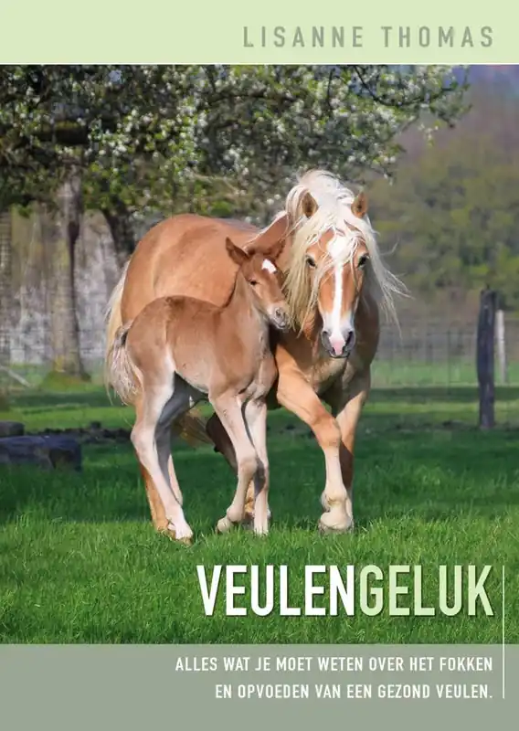 Seizoensaanbieding Veulen Geluk / Druk 1