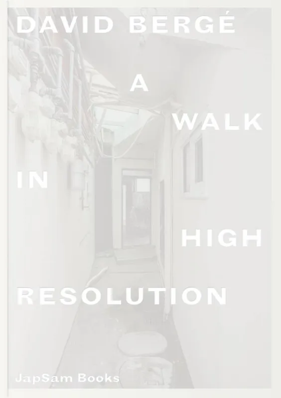 Bestel Nu David Bergé. A Walk in High Resolution / 1st Edition