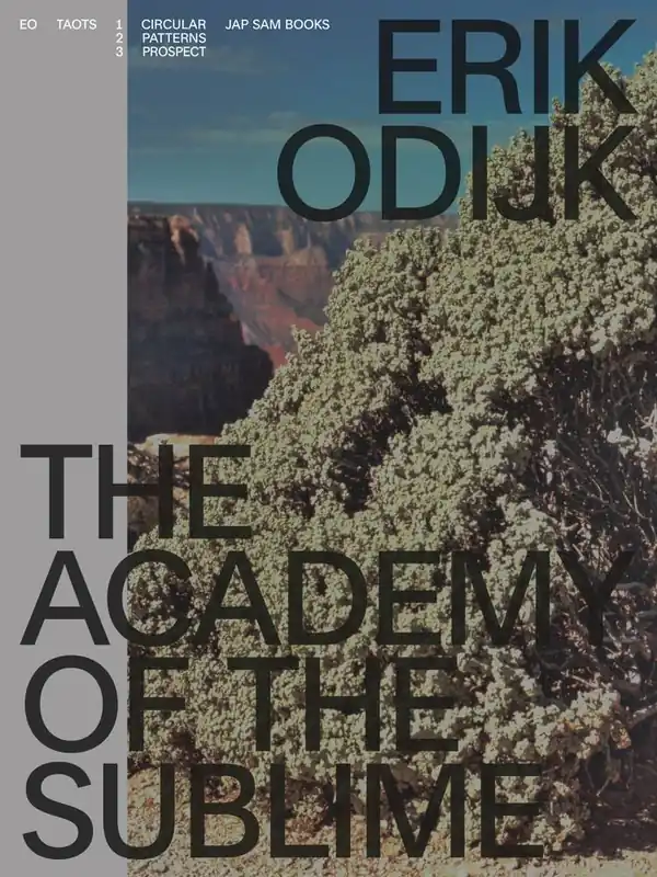 Erik Odijk. The Academy of the Sublime / 1st Edition Must-Have
