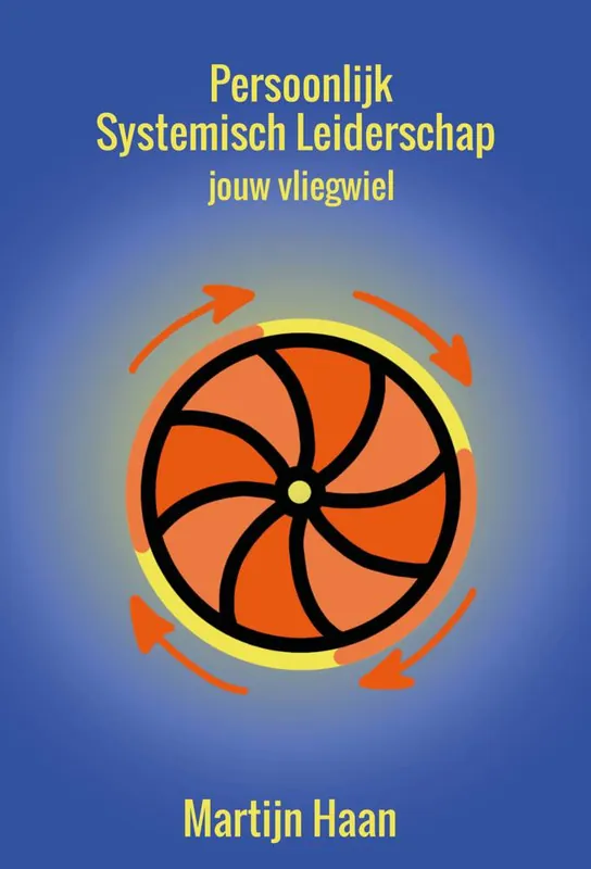 Persoonlijk systemisch leiderschap / Druk 1 Goedkoop