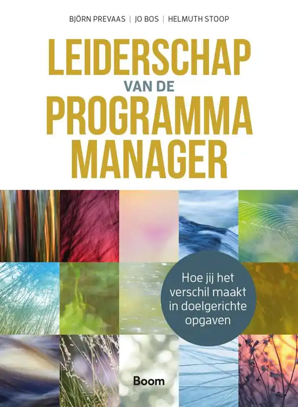 Favoriet Leiderschap van de programmamanager / Druk 1