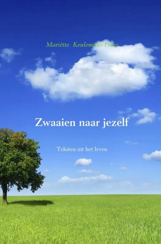 Zwaaien naar jezelf / Druk 1 Koop Online