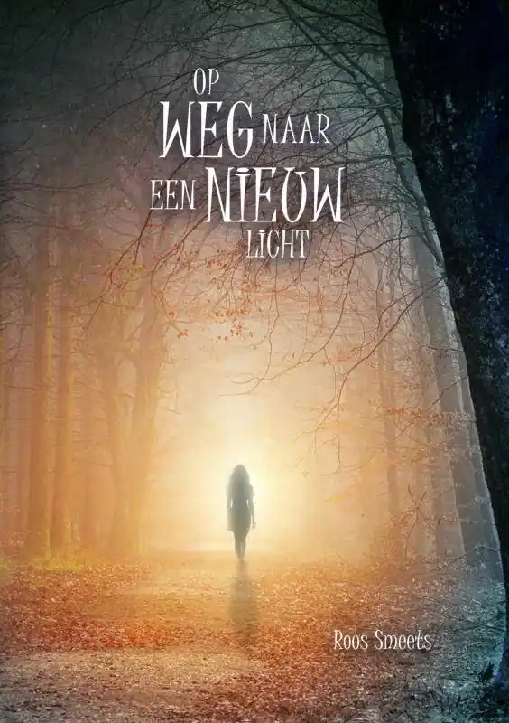 Op weg naar een nieuw licht / Druk 1 Finale Uitverkoop